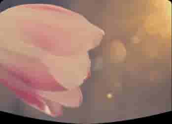 Photo de couverture de Izi Divine 