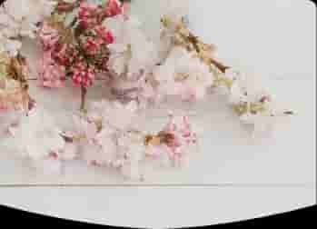 Photo de couverture de STELLA DEVALLON