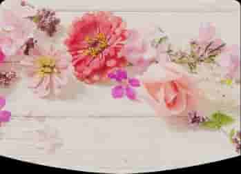 Photo de couverture de Lily MOREL