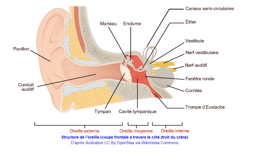 Illustration image