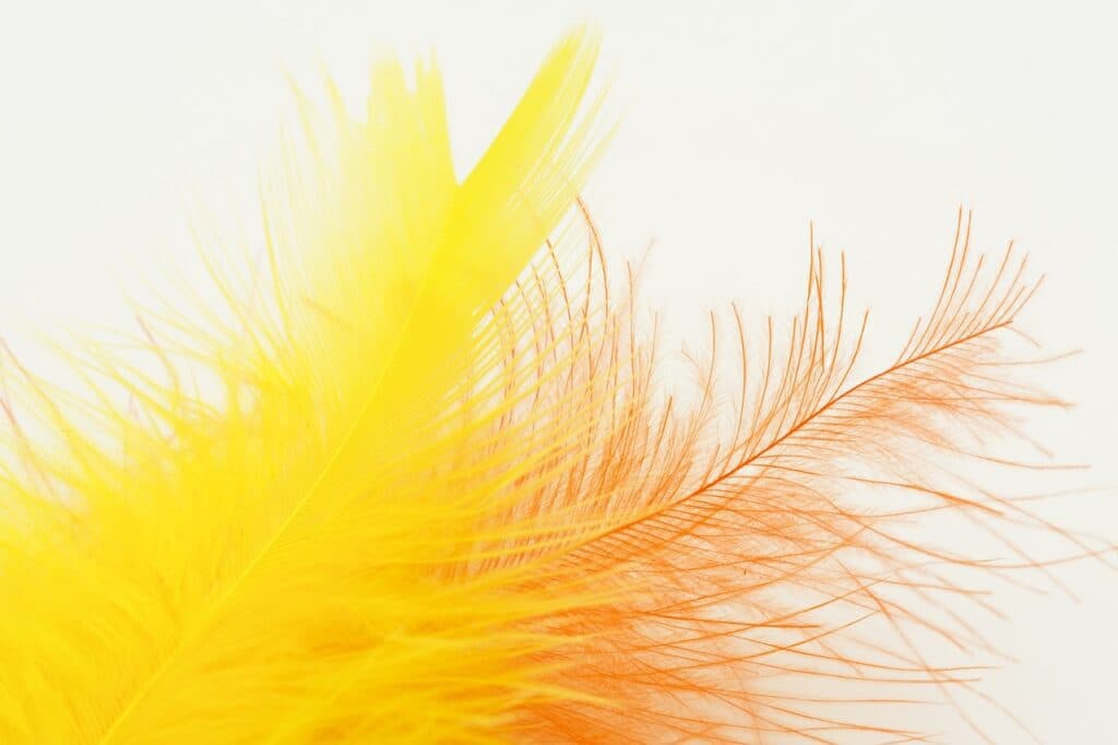 Illustration image