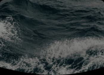 Photo de couverture de Evi