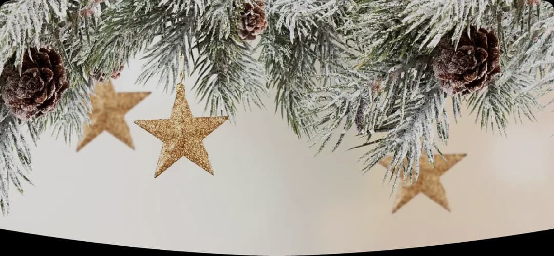 Photo de couverture de Virginie