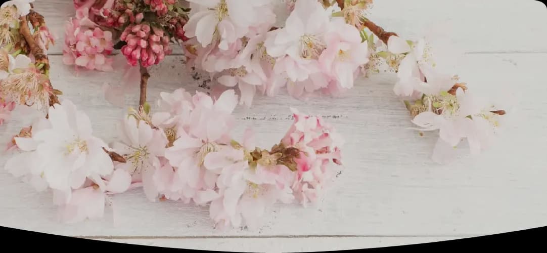 Photo de couverture de STELLA DEVALLON