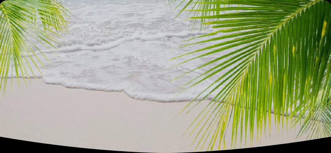 Photo de couverture de Evi