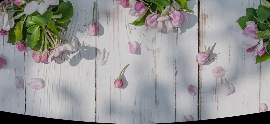 Photo de couverture de Elise Aluna